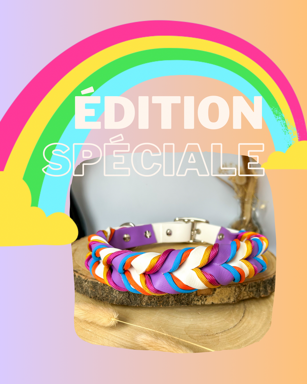 Collier Arc en ciel Flashy